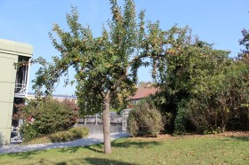 Pause und Erholung_017